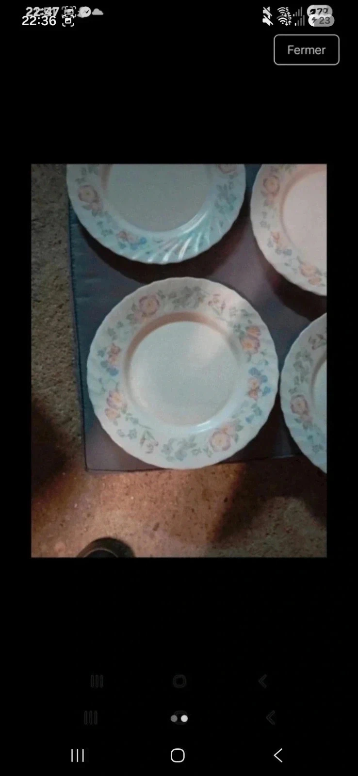 Arcopal plates – photo 3